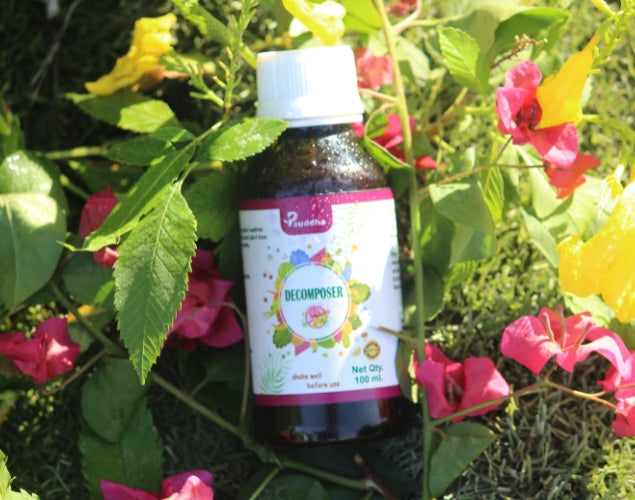 Decomposer - Natural Nutrient Recycler