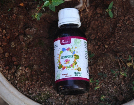 Decomposer - Natural Nutrient Recycler