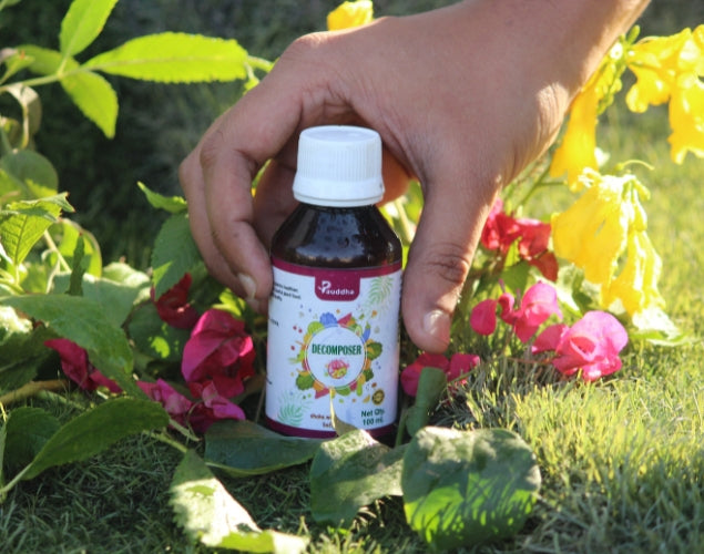 Decomposer - Natural Nutrient Recycler