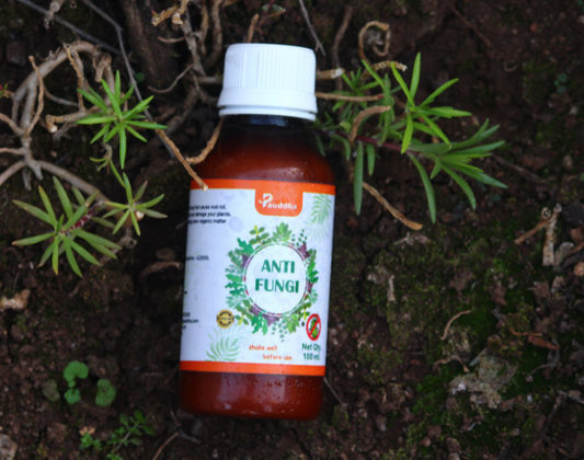 Anti-Fungi - Natural Fungi Killer