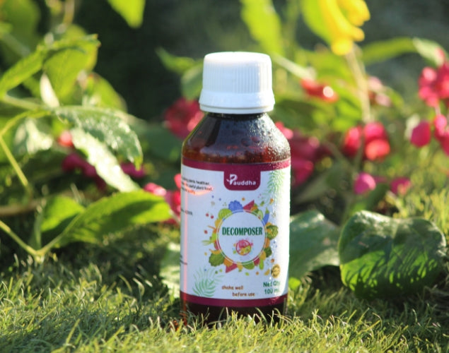 Decomposer - Natural Nutrient Recycler