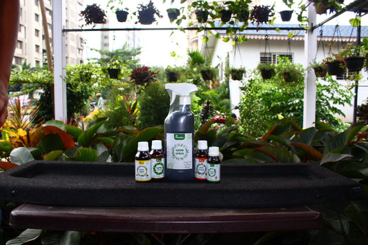 Plant Care (Hariyaali) Kit - Solution for Green and Healthy Plants