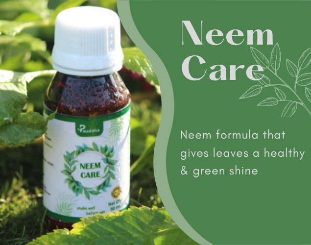 Plant Care (Hariyaali) Kit - Solution for Green and Healthy Plants