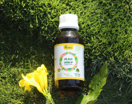 Plant Syrup - All-in-One Organic Elixir