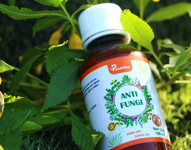 Anti-Fungi - Natural Fungi Killer