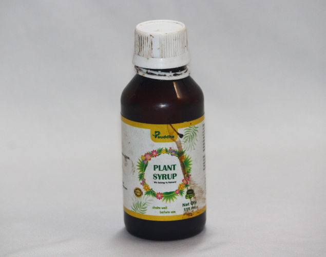 Plant Syrup - All-in-One Organic Elixir