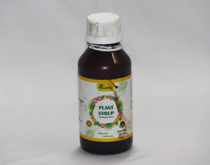 Plant Syrup - All-in-One Organic Elixir
