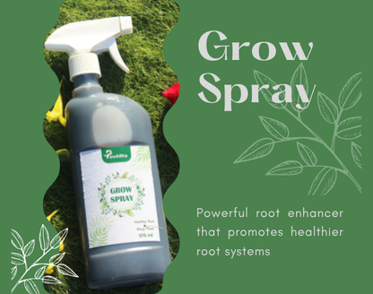 Plant Care (Hariyaali) Kit - Solution for Green and Healthy Plants