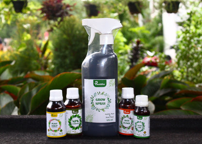 Plant Care (Hariyaali) Kit - Solution for Green and Healthy Plants