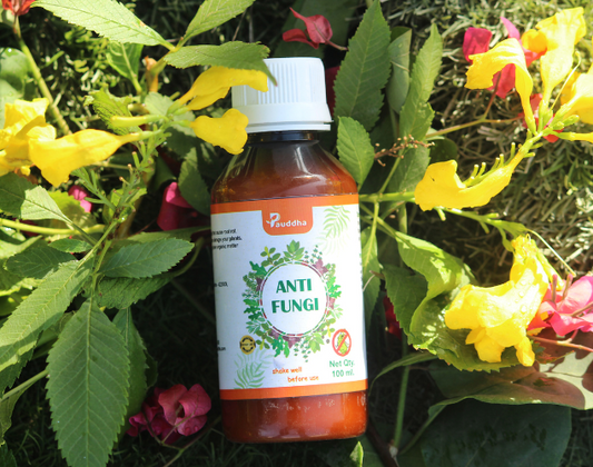 Anti-Fungi - Natural Fungi Killer